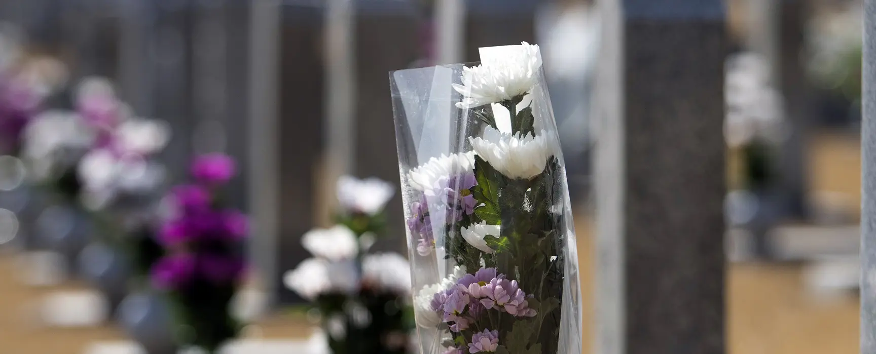 Flores